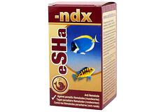 eSHa NDX  