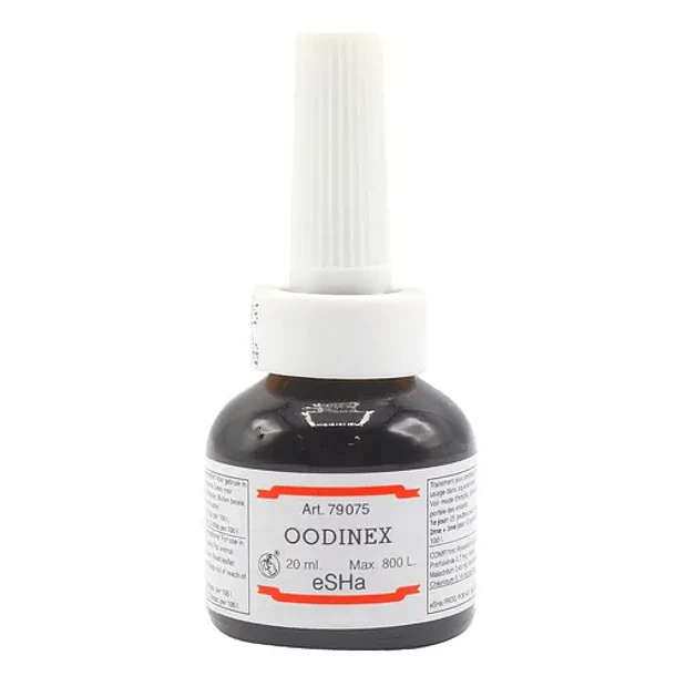 eSHa OODINEX 2