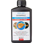 CATAPPA-X  3
