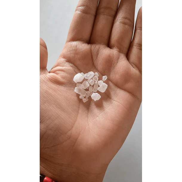 REV SAL PARA ARTEMIA GRANEL 500GR 3