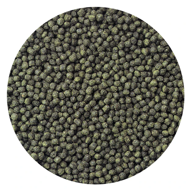 REV PORPOISE CICHLID FOOD 3