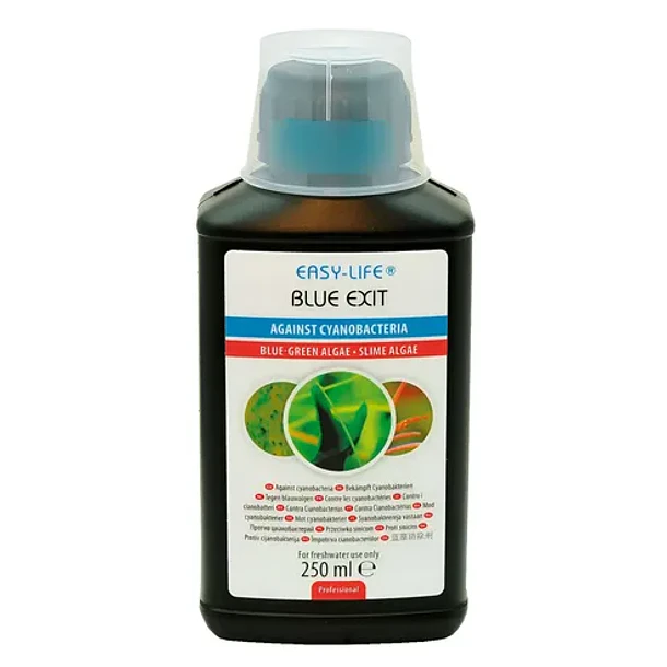 REV EASY LIFE BLUEXIT 1