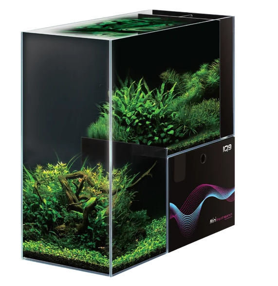 DYMAX IQ9
