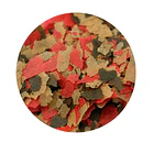 REV SISO ALIMENTO GENERAL FLAKE 3