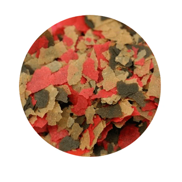 REV SISO ALIMENTO GENERAL FLAKE 3