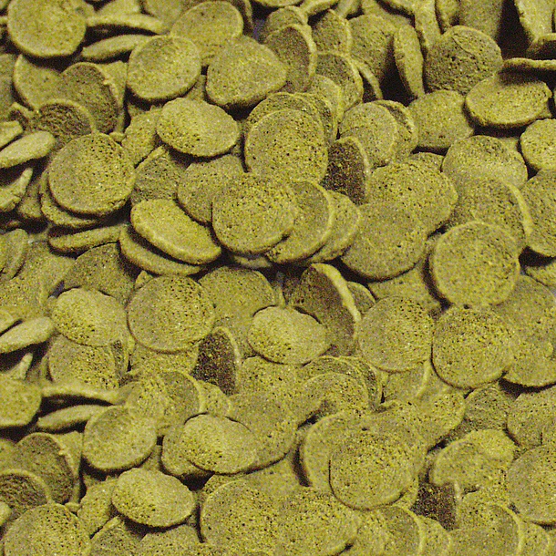 REV SERA PLECO CHIPS 36GR 2