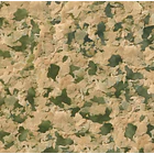 SERA GOLDY 60g  2