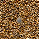 REV COD 145 Gravilla playa 3-5 mm X 1KG