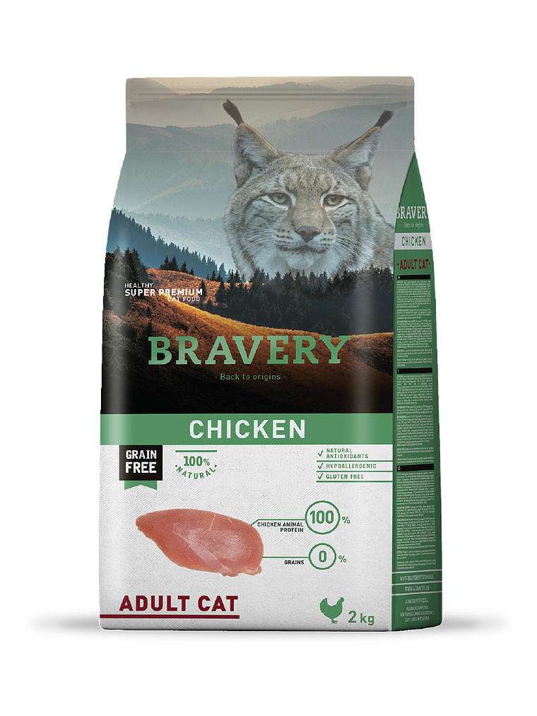 Bravery Chicken Adult Cat 1