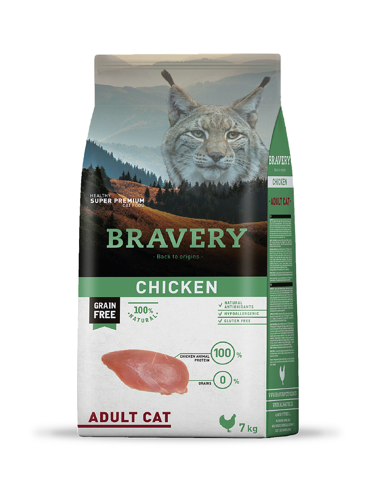 Bravery Chicken Adult Cat 2
