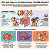 Por que tu perro no debe comer comida de gatos