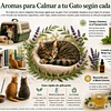 Como ayudar a un gato a superar el duelo por la pérdida de un compañero(a)