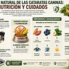 Como ralentizar la pérdida de visión y mejorar la salud ocular de tu Perro