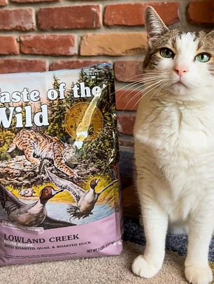 Taste Of The Wild Gato Lowland Creek 6,6 Kg