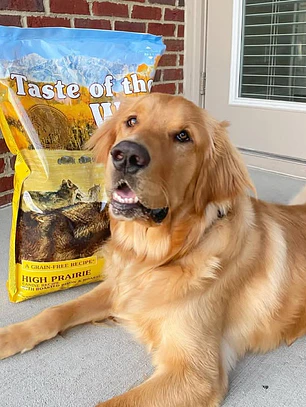 Taste of the Wild High Prairie Perro Adulto - Bisonte y Venado 18 kg 