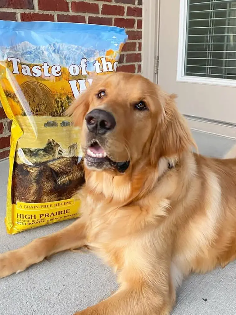 Taste of the Wild High Prairie Perro Adulto - Bisonte y Venado 18 kg  2
