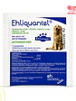 EHLIQUANTEL Perro 1 Comprimido (hasta 10 kg por comprimido) - Miniatura 1