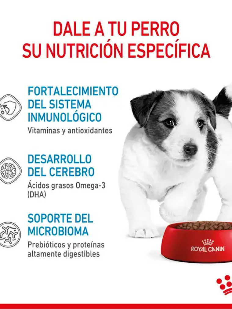 Royal Canin Adulto Mini Puppy 3kg 3