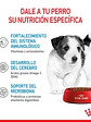 Royal Canin Adulto Mini Puppy 3kg - Miniatura 3