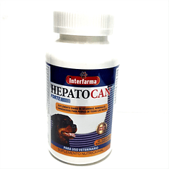HEPATOCAN FORTE 60 Comprimidos