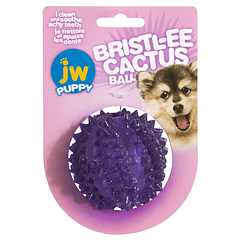 Pelota Cactus para Cachorros