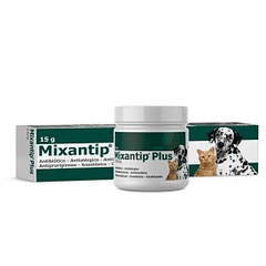 MIXANTIP PLUS crema 50 mg