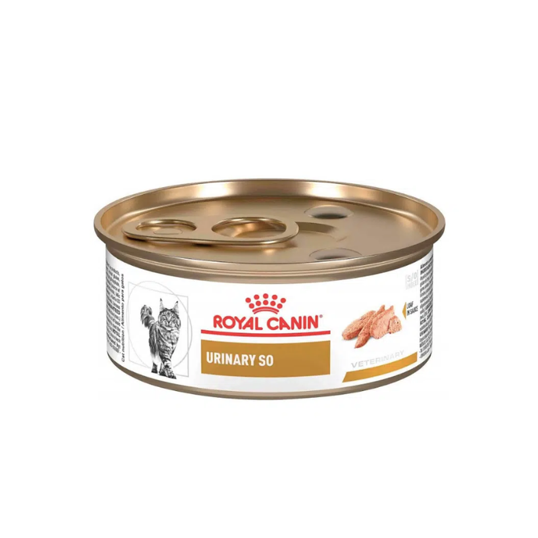 Lata Royal Canin Cat Urinary S/O 145 gr. 1
