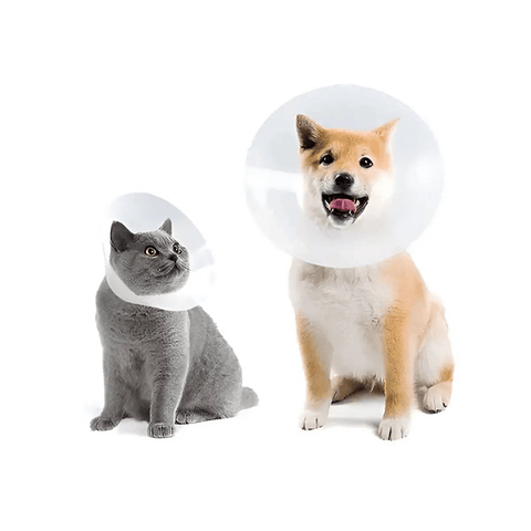 Collar Isabelino 12.5 cm