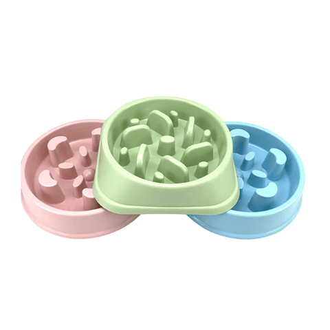 Plato de Alimentación Lenta 