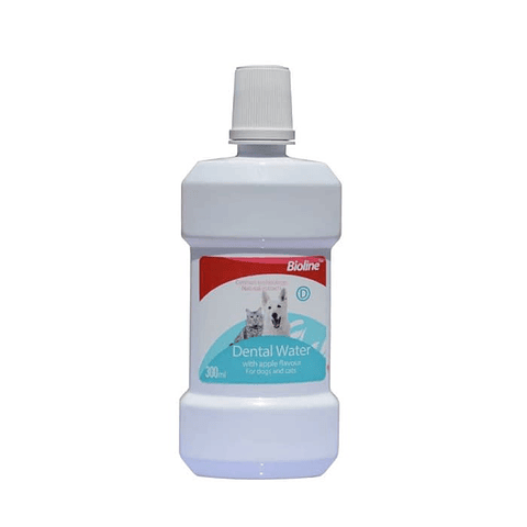 Dental Water 300ml