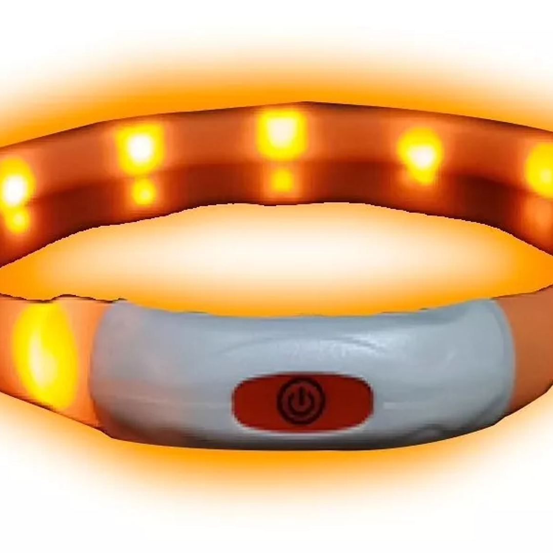 Collar Led talla S 2