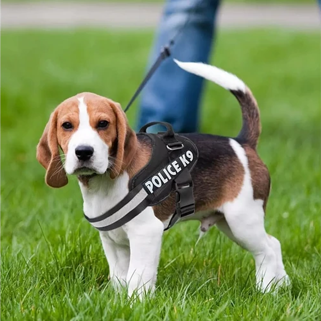 Arnes Police K9 - talla S 2