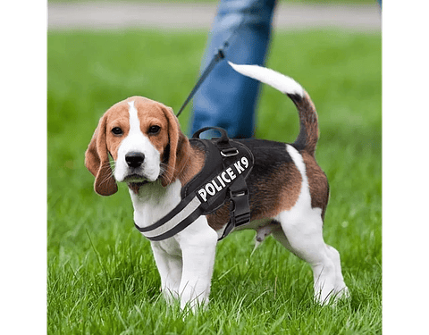 Arnes Police K9 - talla S