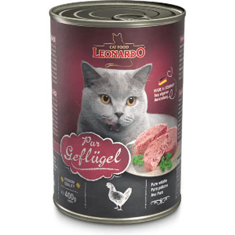 Lata Leonardo - sabor Ave 400 Gr