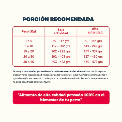 PetFamily Cachorro Alimento para Perros 10 kg