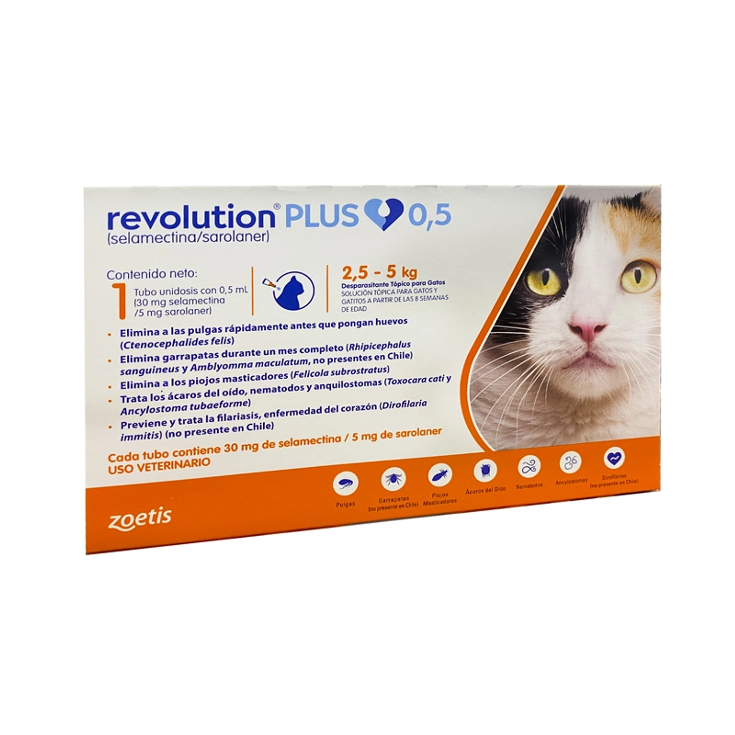 Revolution Plus 2,5 a 5 Kg