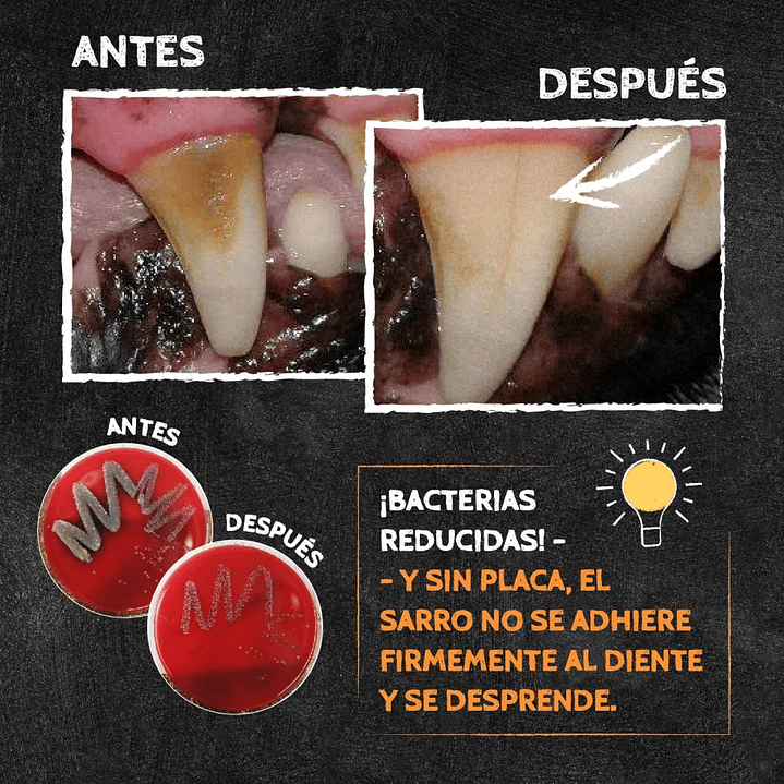 Qchefs Dental Power Crocante Duro Perro (72 gr)  3