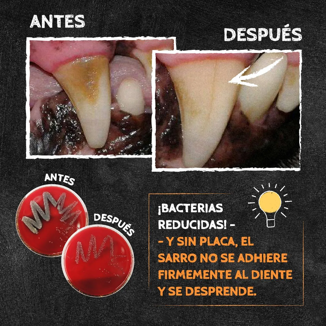 Qchefs Dental Power Crocante Mmini Perro (65 gr) 4