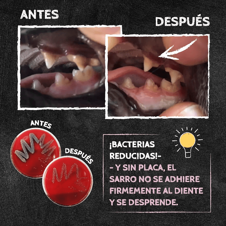 Qchefs Dental Fitness Crocacante Mmini Gato (60 Gr) 3