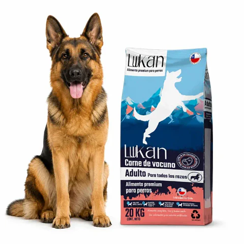 Lukan Adulto 20kg