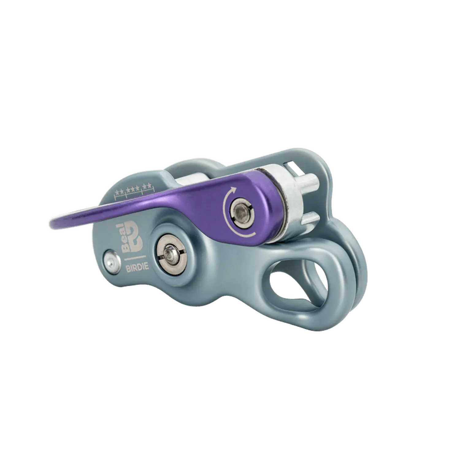 Asegurador asistido BIRDIE  1