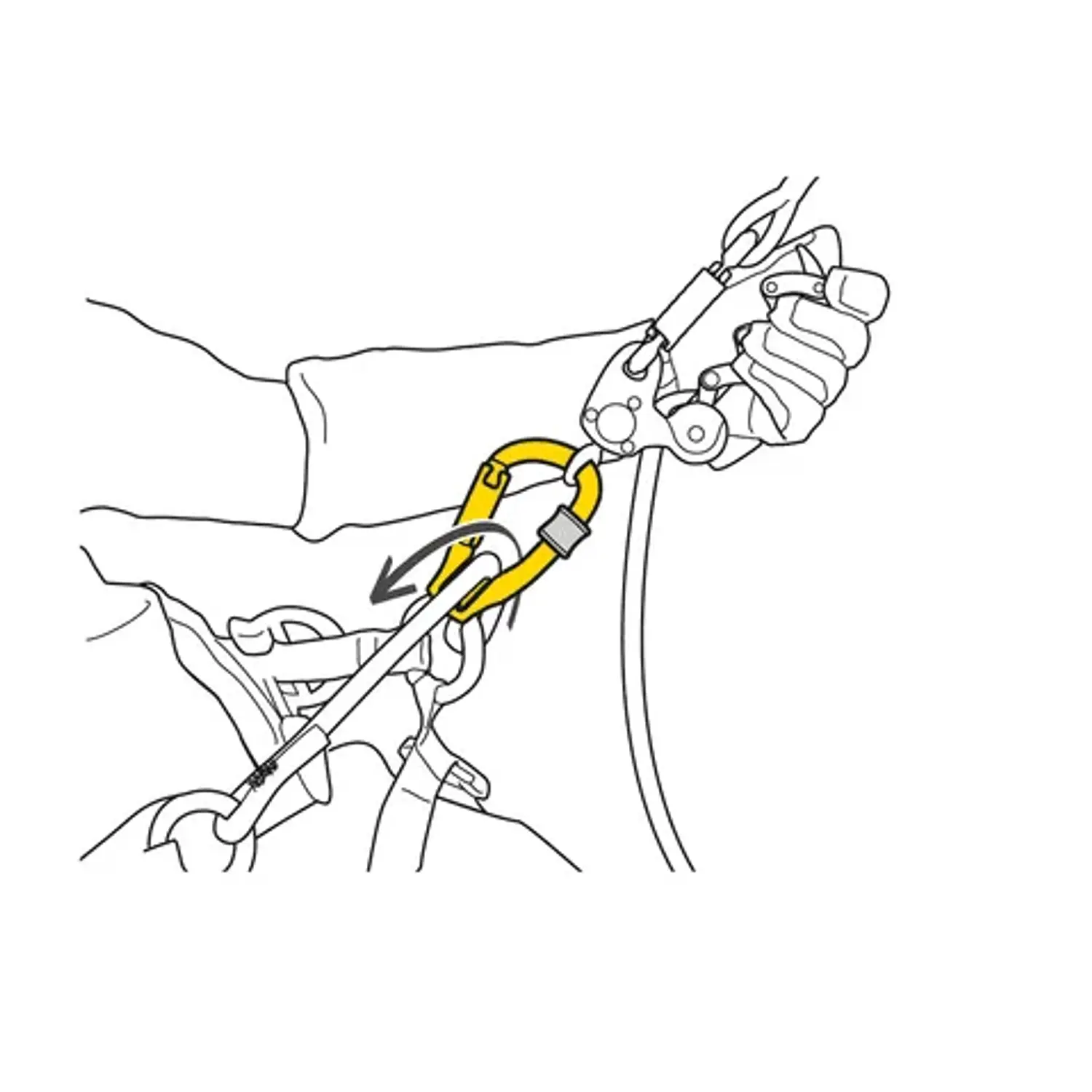 Mosquetón ROLLCLIP Z  TRIACT-LOCK Petzl 2