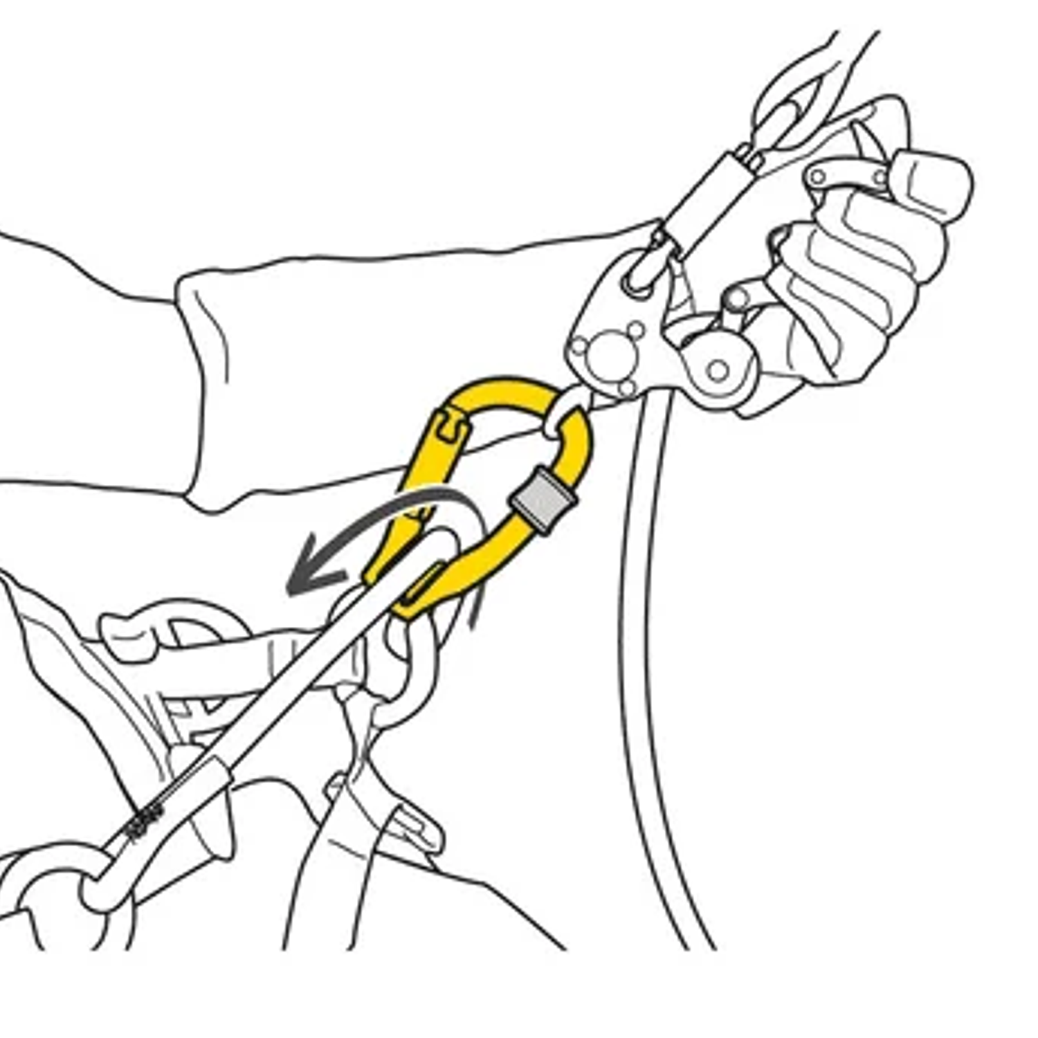 Mosquetón ROLLCLIP Z  TRIACT-LOCK Petzl 2
