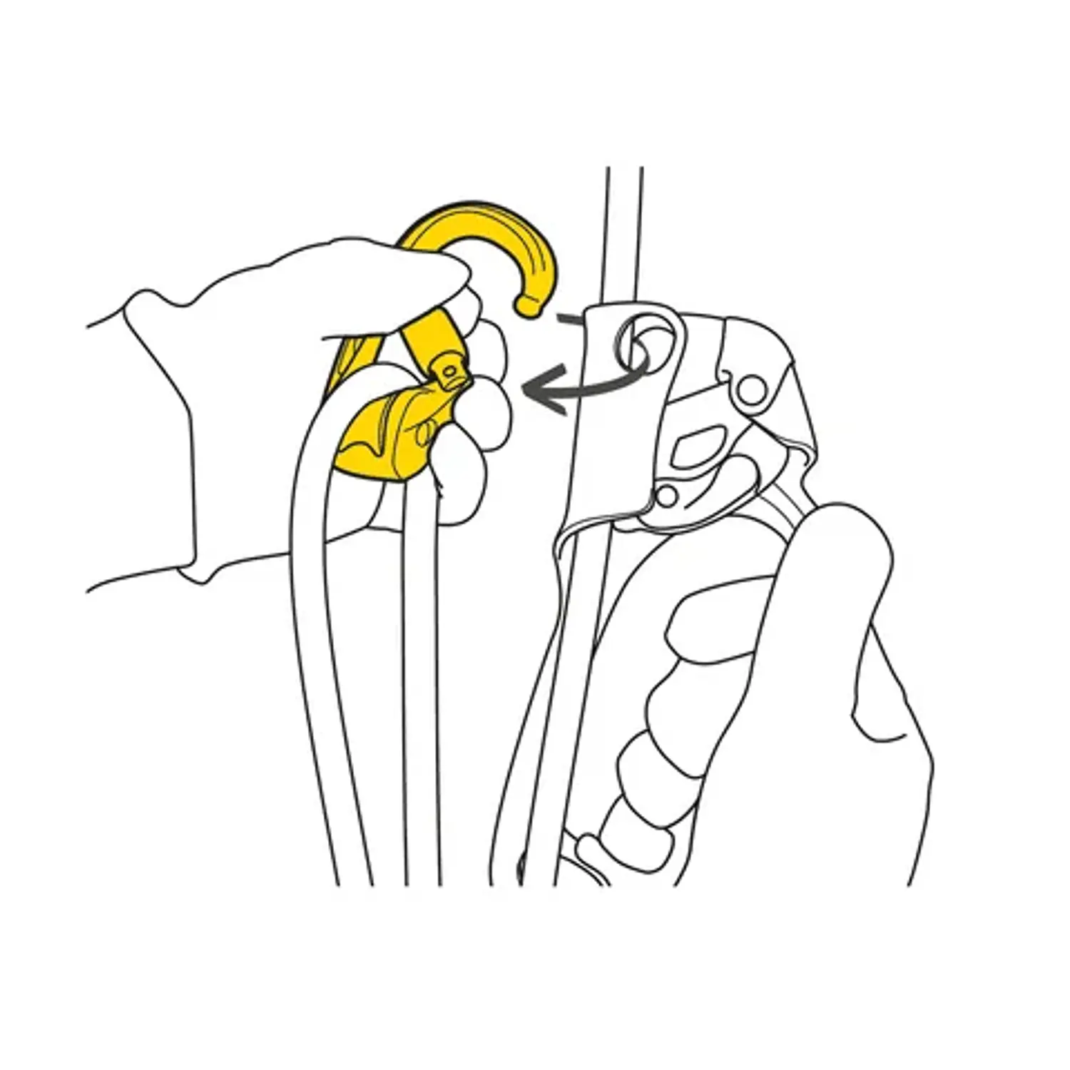 Mosquetón ROLLCLIP Z  TRIACT-LOCK Petzl 3