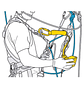 Anticaídas deslizante para cuerda ASAP LOCK - Miniatura 5