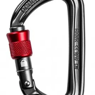 Mosquetón Hawk Screw Antracita/Red, Asimétrico / D