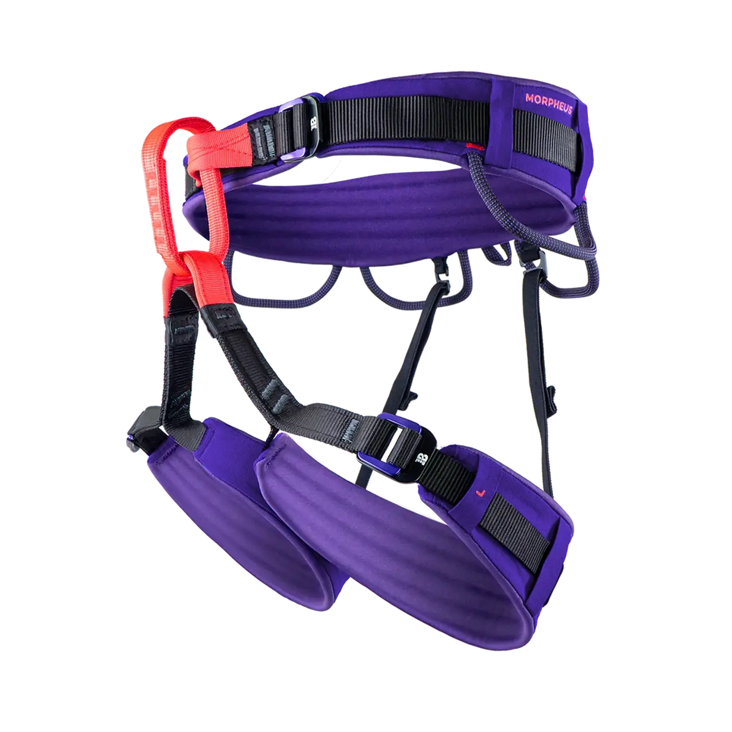 Arnes Deportivo MORPHEUS M BEAL 2