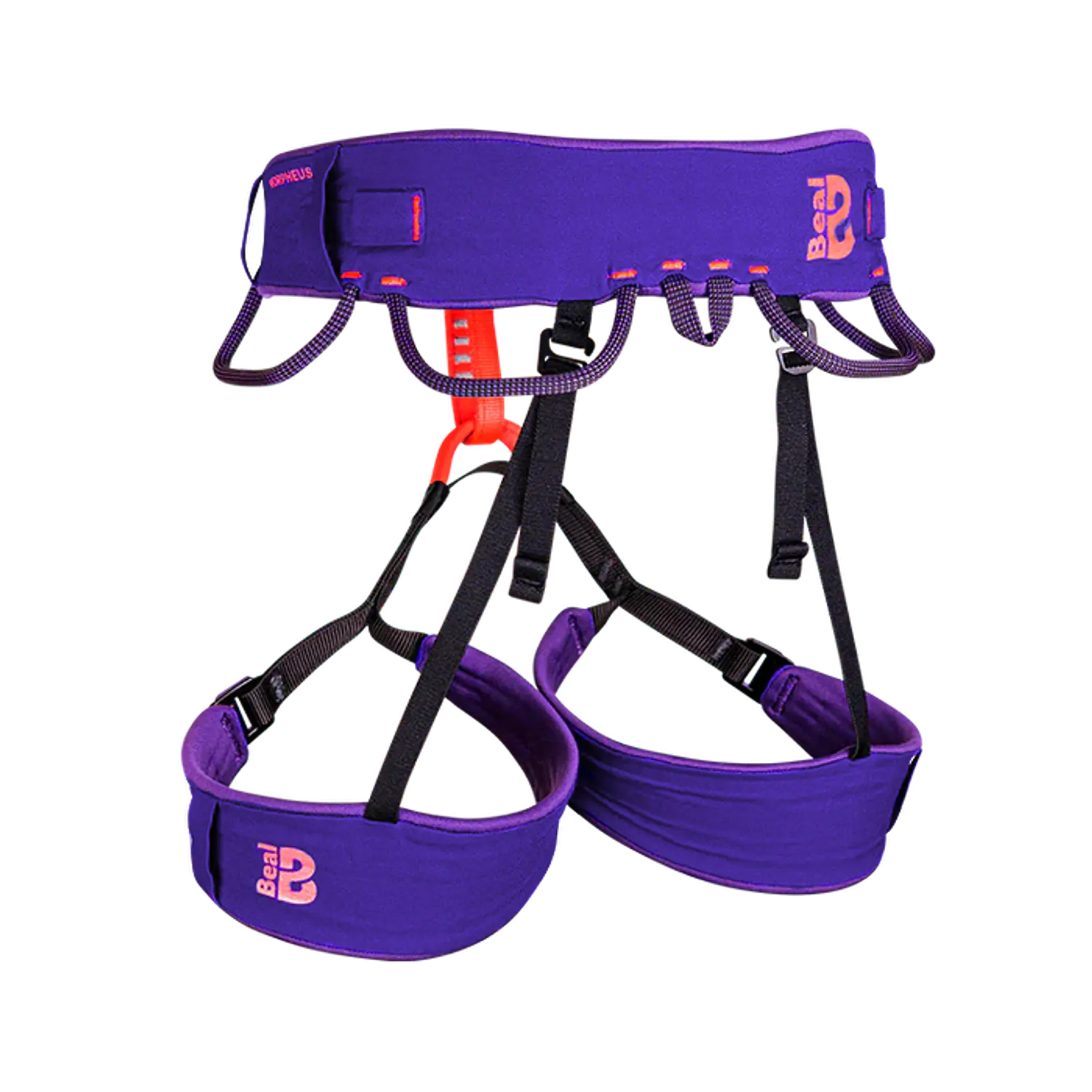 Arnes Deportivo MORPHEUS M BEAL 1