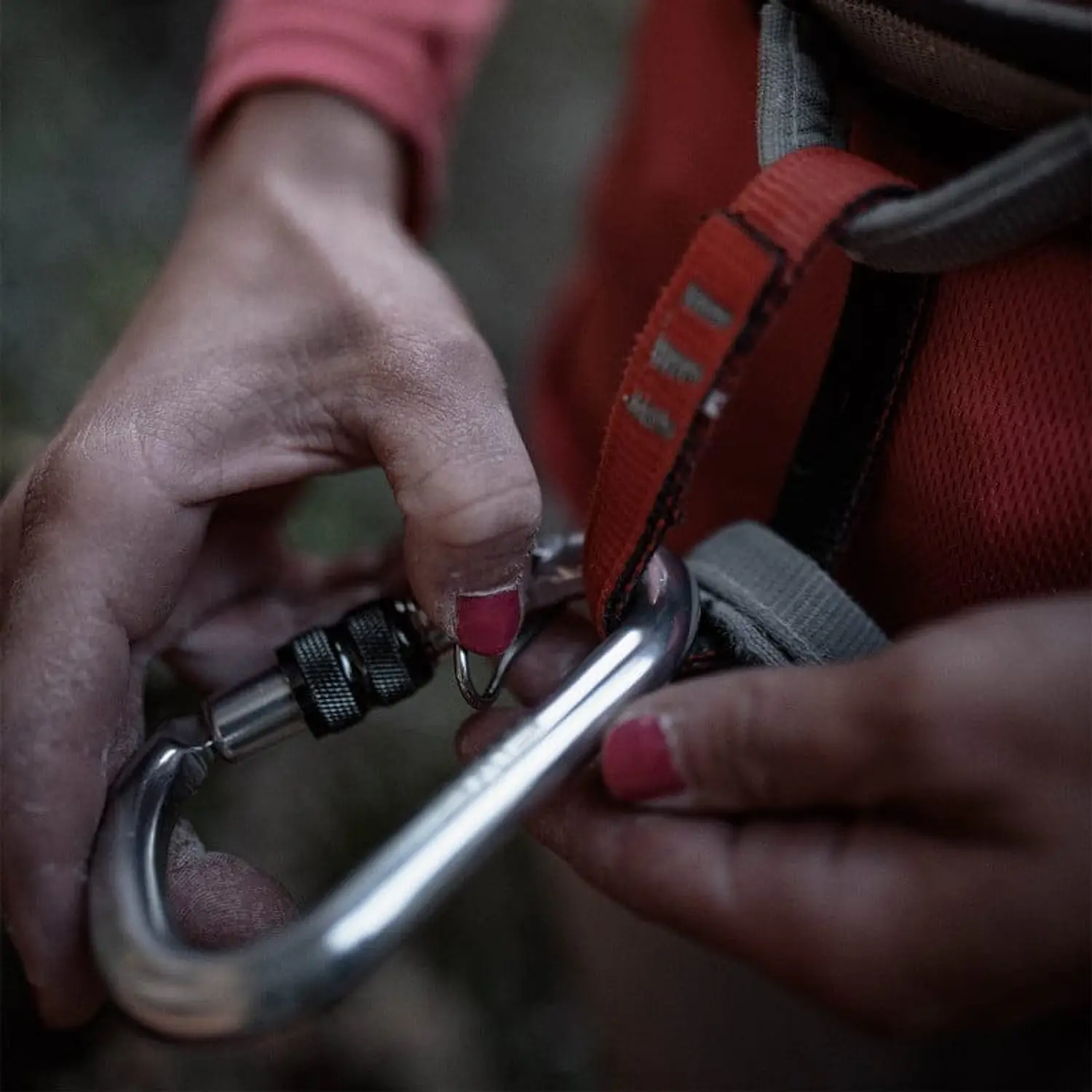 Mosquetón Aluminio HMS Rosca 25kN Anti-Giro Lotus - Fixe 4