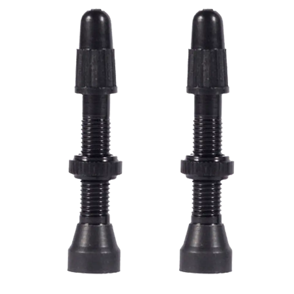 VALVULA FRANCESA TUBULAR WTB 2pcs 46MM 1